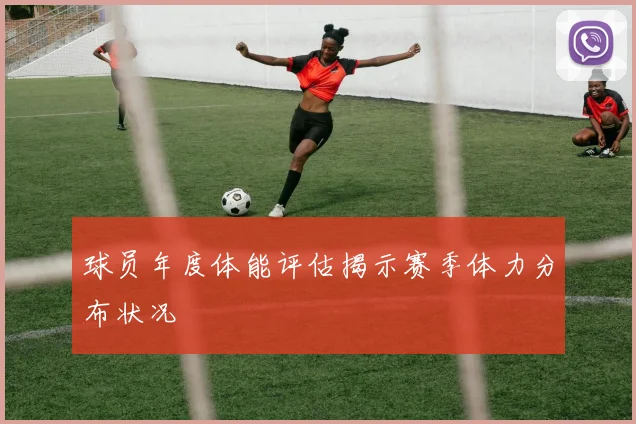 球员年度体能评估揭示赛季体力分布状况